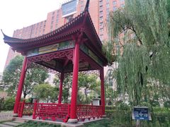 -复旦大学附属中山医院(西院区)