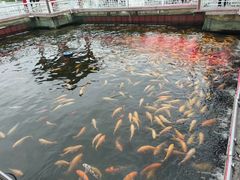 -长春市南湖公园