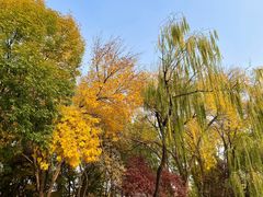 -玲珑塔公园