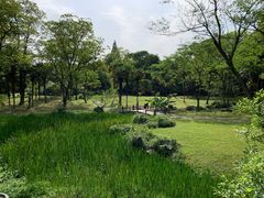 -杭州植物园