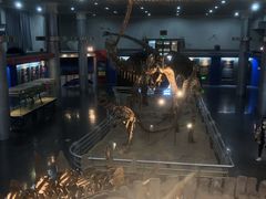 -国家自然博物馆