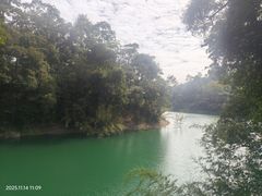 -广州市流溪河国家森林公园