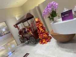 -星和深湾荟医疗美容