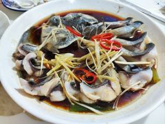 -煲来饱去冷水鱼