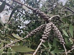 -苏州河梦清园环保主题公园