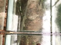 -英西峰林·洞天仙境