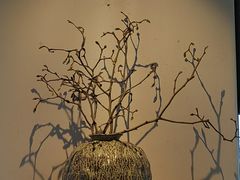 -瓦库茶馆17号(海汇港店)