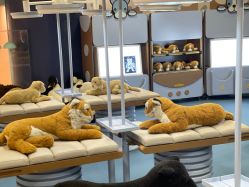 -奈尔宝家庭中心·亲子餐厅(鄞州万达店)