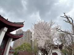 -堤角公园