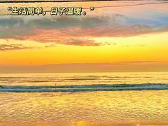 -海之鲜大排档(东山海鲜金銮湾店)