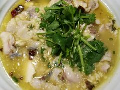-青叶202都市餐厅(迪诺水镇店)