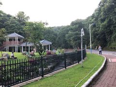 -火炉山森林公园