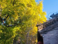 -潭柘寺景区