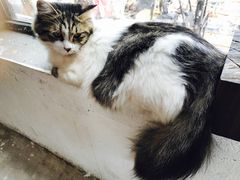 -五月木作·DIY木作文创体验店(北京路店)