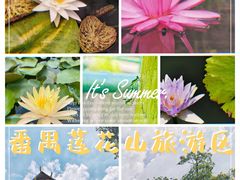 -广州莲花山旅游区