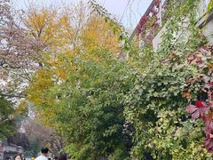 -VOYAGE COFFEE(北锣鼓巷店)