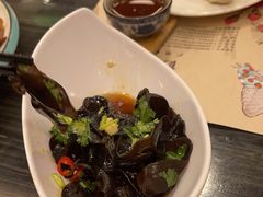 捞起野生黑木耳-虾饺妹·粤式手工点心(水荫路店)