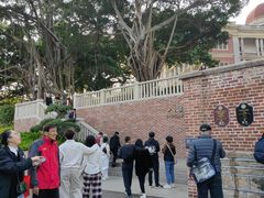 -八卦楼风琴博物馆