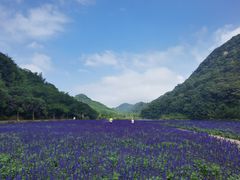 -广州市石门国家森林公园