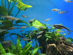 -太平洋海底世界