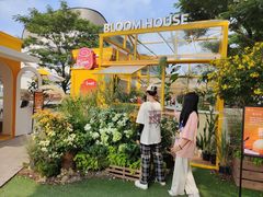 -东莞松山湖万象汇