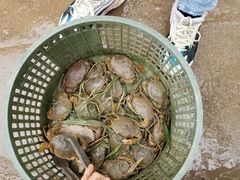 -南沙十九涌渔人码头-南门