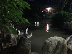 -晓雯人家