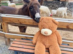 -HERRE·FARM 赫尔露营农场·团建聚会包场