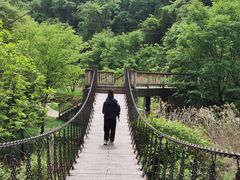 -三块石国家森林公园