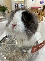 -Moni星球萌宠·小马宝莉·灵蛇·高端高阶全萌宠互动体验俱乐部(红豆国际广场店)