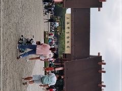 -上海野生动物园