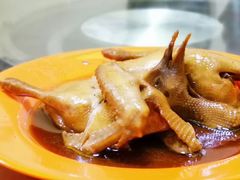 -鸽王世家(东华东路店)