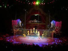 -珠海横琴长隆《卡卡虎奇遇记》