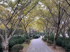 -九龙潭景区