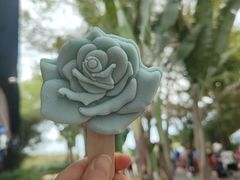 -亚龙湾国际玫瑰谷