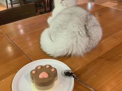 -猫小院猫主题餐厅(三里屯店)