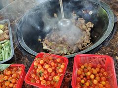 -桃源山庄·水蜜桃采摘·柴火鸡·烧烤团建(龙泉山店)