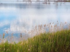 -野鸭湖国家湿地公园