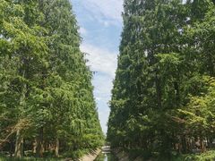 -东平国家森林公园