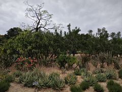 -东莞植物园