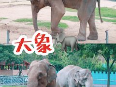-无锡动物园·太湖欢乐园