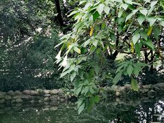 -成都市活水公园