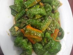 -星月美食城