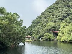 -宁海森林温泉