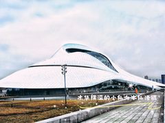-哈尔滨大剧院