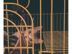 大堂-樹下遇见树·咖啡