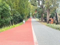 -上海长兴岛郊野公园