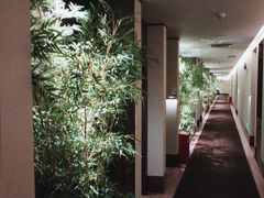 -海乐健康美食·SPA水疗会(水都假日酒店)