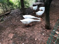 -绍兴鉴湖君澜大酒店