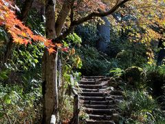 -三千院